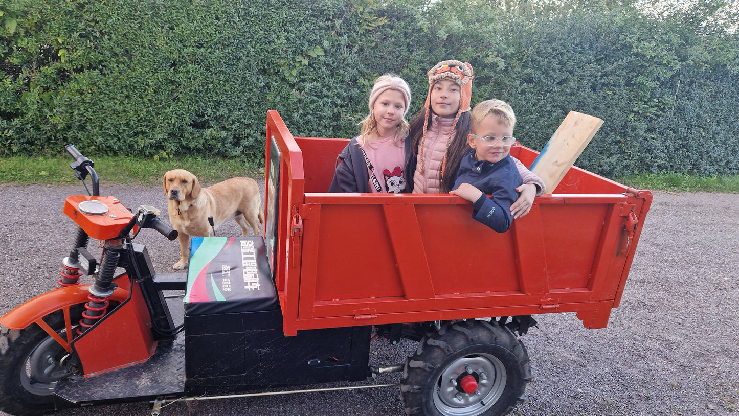 Elektrisk TukTuk med tipp!